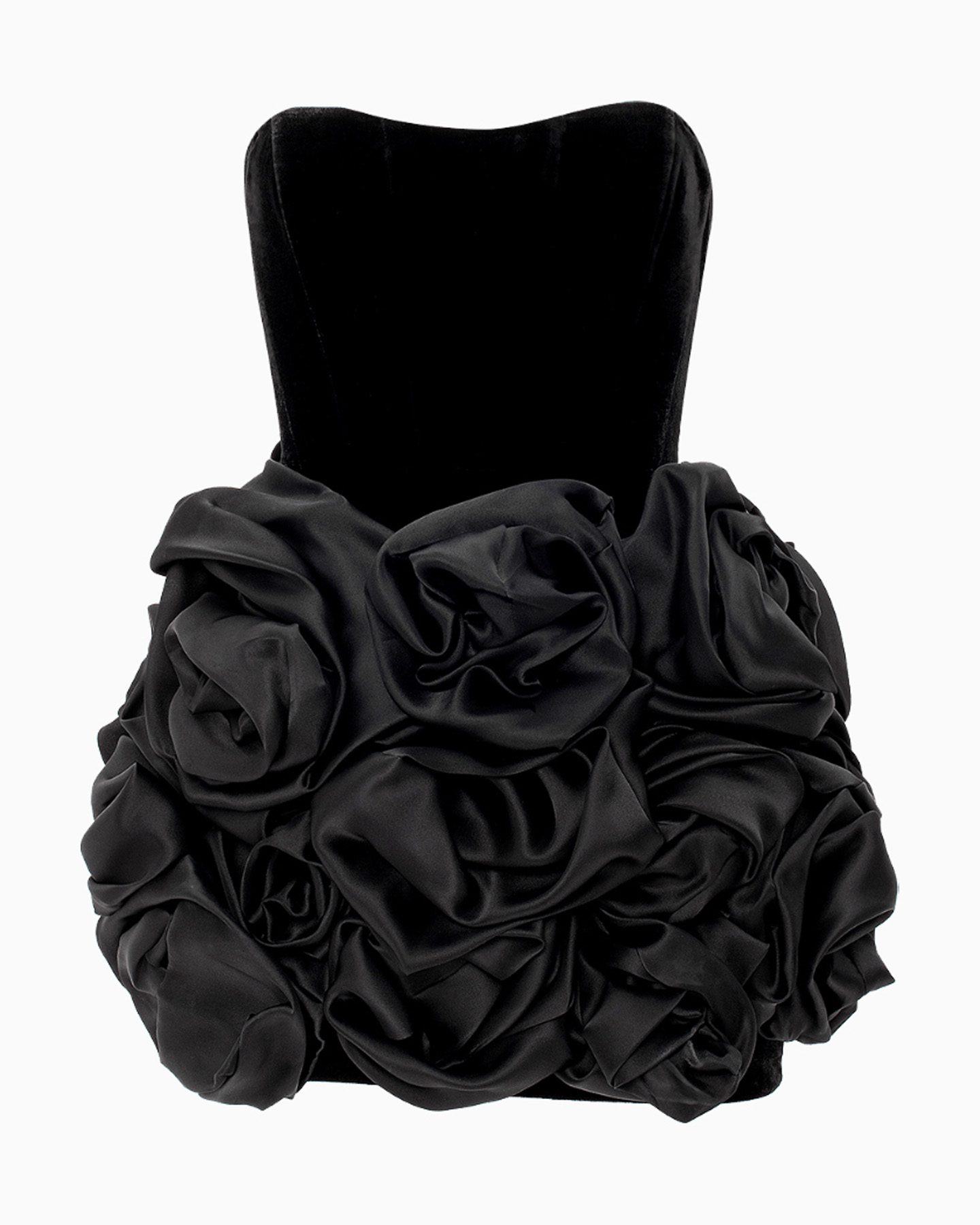 ZINNIA NOIR 1 ZINNIA NOIR