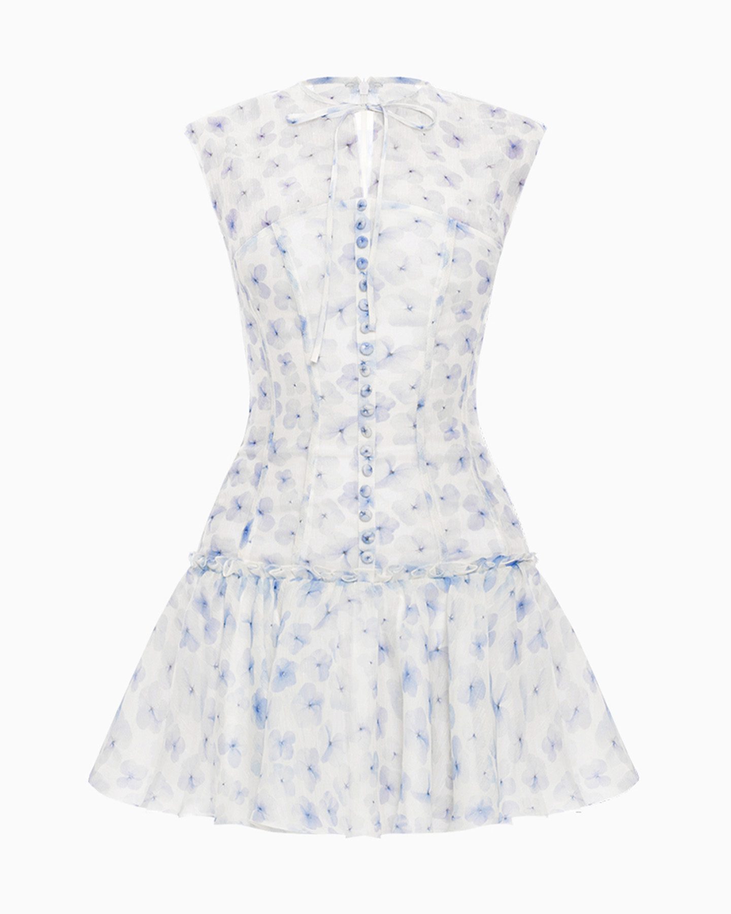 GLADIOLUS 1 GLADIOLUS