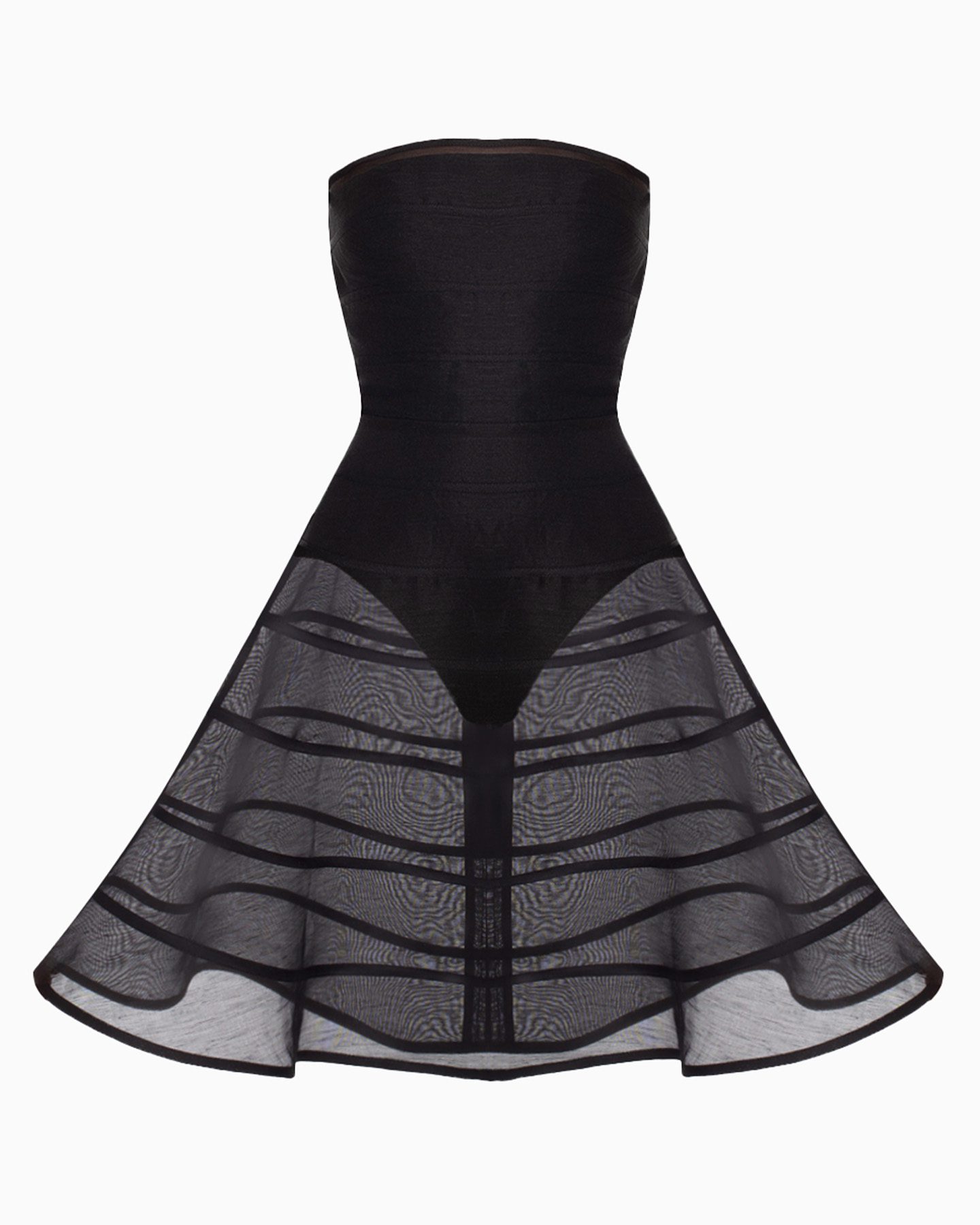 ECHINACEE 1 ECHINACEE