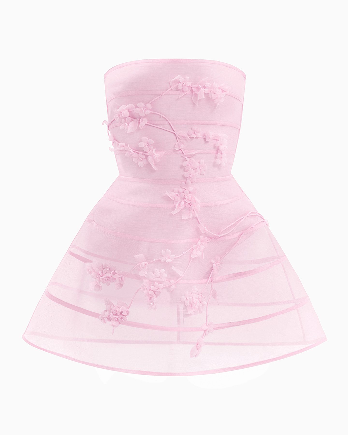 ECHINACEE NEW 1 ECHINACEE NEW