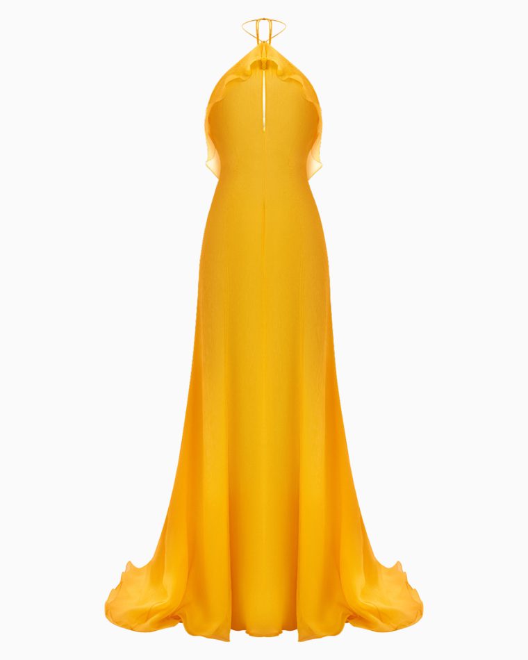 ORCHIDEE SABOT DE VENUS