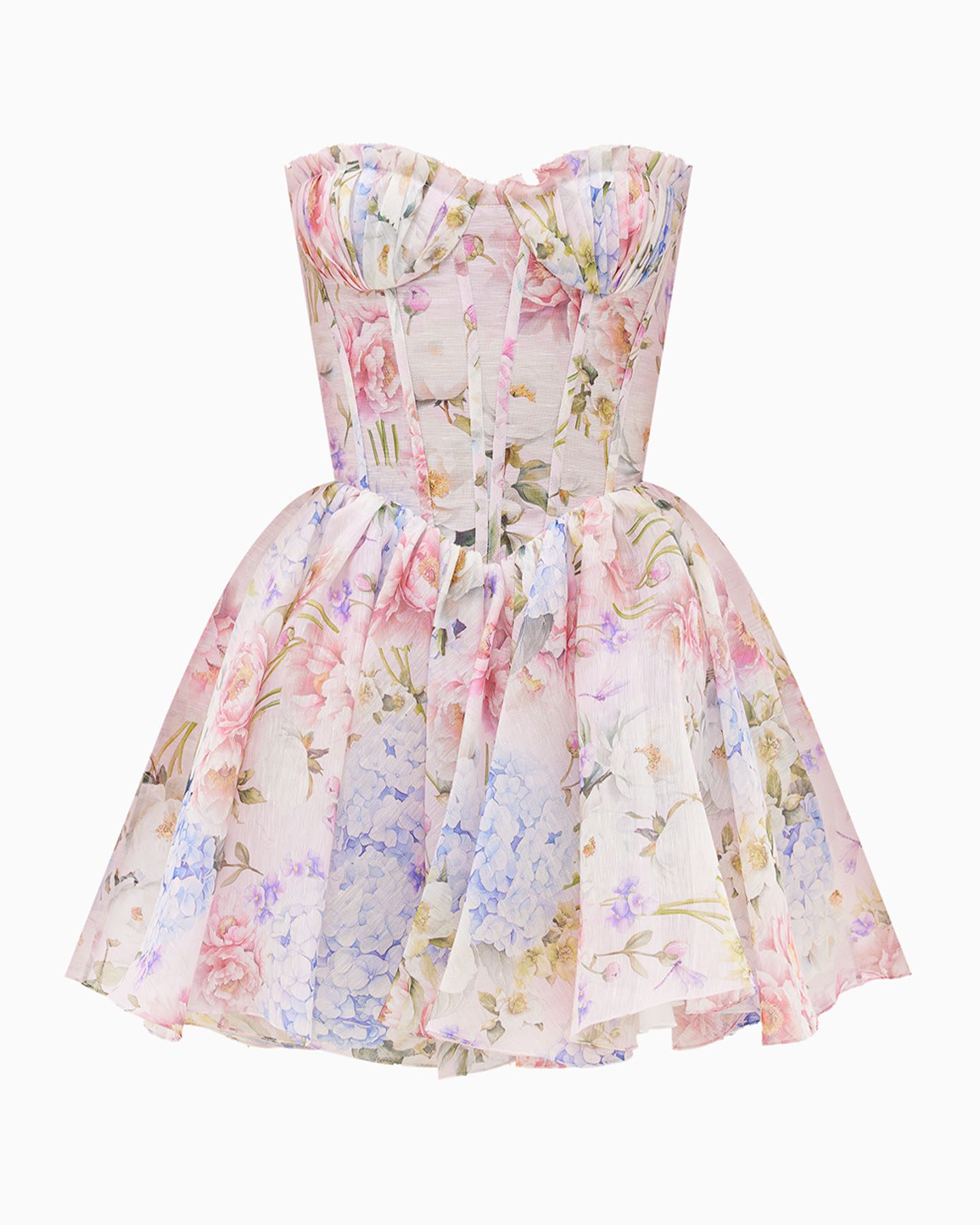 ASTRANTIA 1 ASTRANTIA