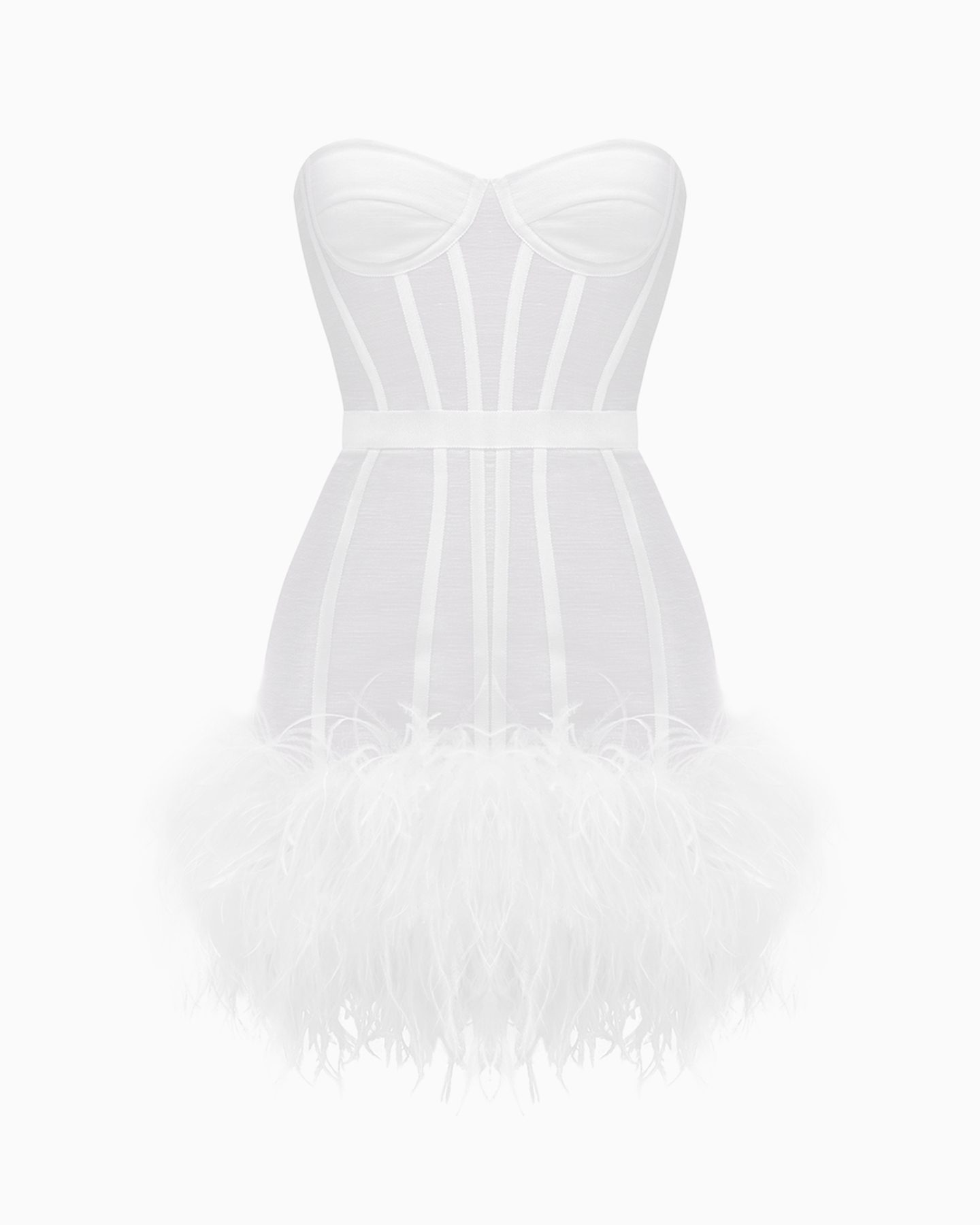 MAGNOLIA ALEXANDRINA 1 MAGNOLIA ALEXANDRINA